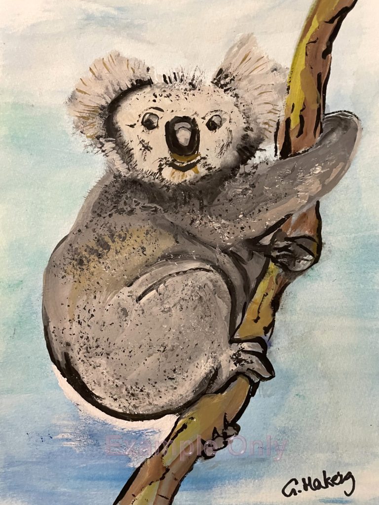 QT Koala